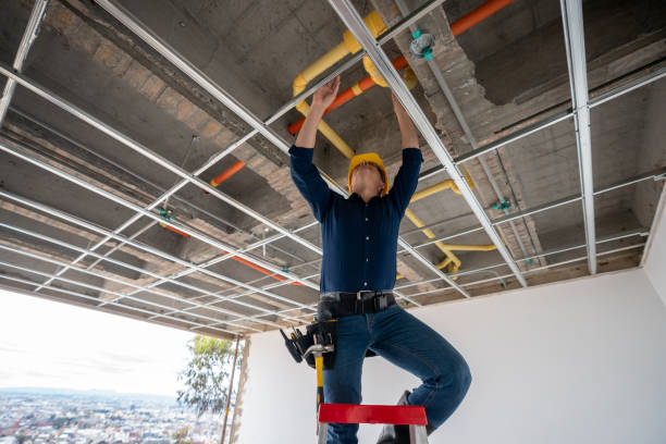 Best Local Plumber Services  in Cressona, PA