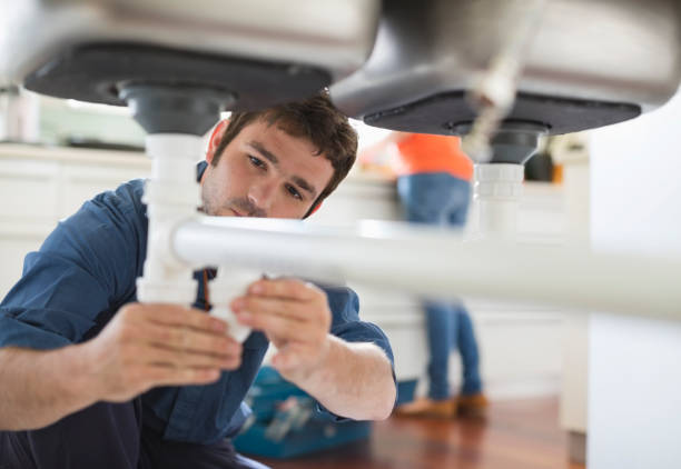 Best Clogged Drain Plumber  in Cressona, PA
